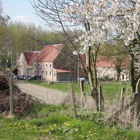 De Verborgen Parel B&B Borgloon Eksteriør billede