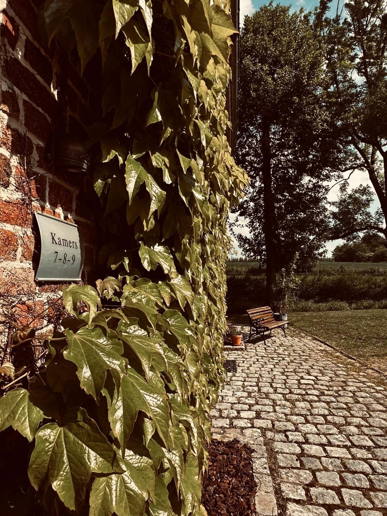 De Verborgen Parel B&B Borgloon Eksteriør billede