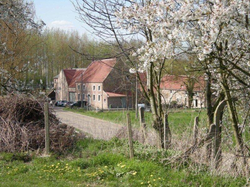 De Verborgen Parel B&B Borgloon Eksteriør billede
