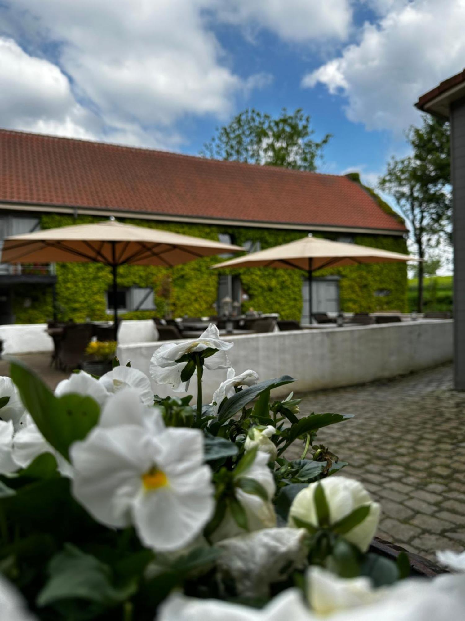 De Verborgen Parel B&B Borgloon Eksteriør billede