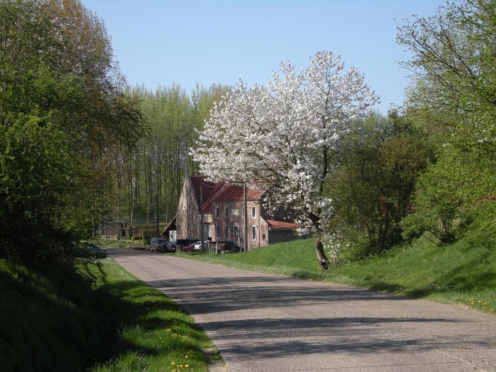 De Verborgen Parel B&B Borgloon Eksteriør billede